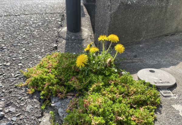 朝から小さな喜びを感じました♪