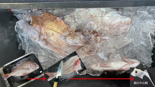 ありが鯛　<゜)))彡