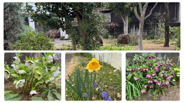 Welcome to My Garden♪