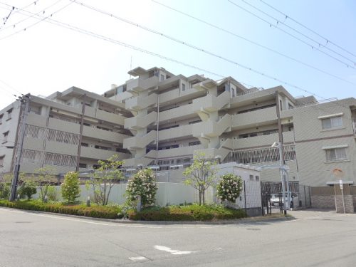 (外観) (外観)